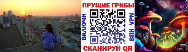 Галлюциногенные грибы Cubensis  Купить где  Змеиногорск 